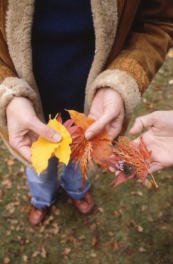 img072.jpg img072.jpg