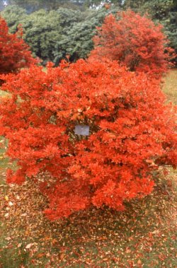 img073.jpg img073.jpg