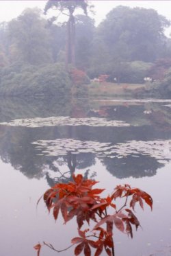 img083.jpg img083.jpg