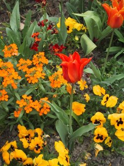 IMG_2171.JPG IMG_2171.JPG