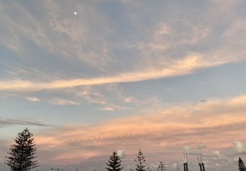 A69EE72E-F2B2-4EB4-9F26-3FAA7A1683AF.jpeg A69EE72E-F2B2-4EB4-9F26-3FAA7A1683AF.jpeg