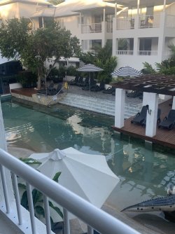 7300913B-7B85-4D5F-9360-BA063EAD1B7C.jpeg 7300913B-7B85-4D5F-9360-BA063EAD1B7C.jpeg