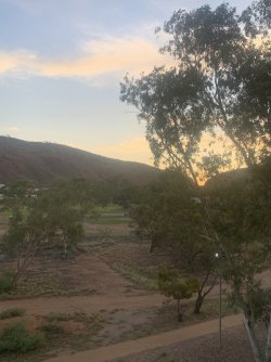 C9883B34-0F00-4FFC-ABB7-FCE92AB68EB3.jpeg C9883B34-0F00-4FFC-ABB7-FCE92AB68EB3.jpeg