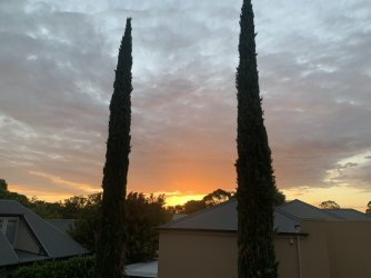 IMG_1921.jpg IMG_1921.jpg