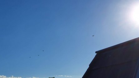 20210202_073135.jpg 20210202_073135.jpg