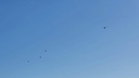 20210202_073142.jpg 20210202_073142.jpg