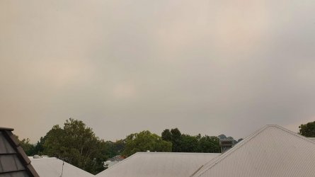 20210202_104655.jpg 20210202_104655.jpg