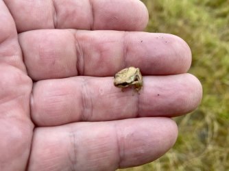 2E99C6F9-C809-4B8B-AC78-F847B725A4D8.jpeg 2E99C6F9-C809-4B8B-AC78-F847B725A4D8.jpeg