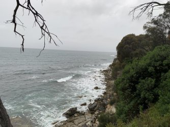 4F9FDBB1-3C56-4CC9-BE10-7C7CD8498747.jpeg 4F9FDBB1-3C56-4CC9-BE10-7C7CD8498747.jpeg