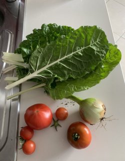 50E43FE5-BD43-4A36-9E5E-D57B6E9790DC.jpeg 50E43FE5-BD43-4A36-9E5E-D57B6E9790DC.jpeg