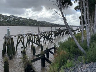 IMG_5743.jpg IMG_5743.jpg