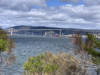 IMG_5774.jpg IMG_5774.jpg