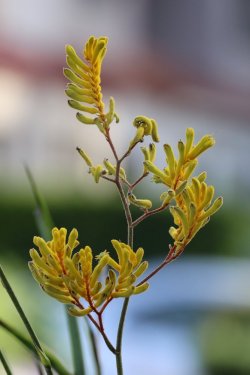 2G6A5051.jpeg 2G6A5051.jpeg