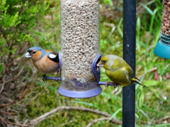 1612840711634.png 1612840711634.png