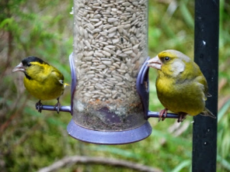 1612840744285.png 1612840744285.png