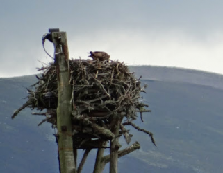 1612841310281.png 1612841310281.png