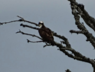 1612841329423.png 1612841329423.png