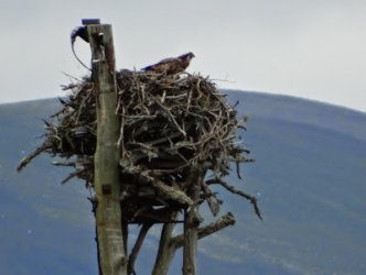 1612841355262.png 1612841355262.png