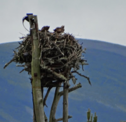 1612841379086.png 1612841379086.png