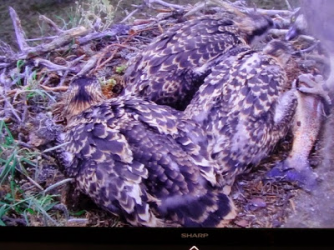 1612841419420.png 1612841419420.png