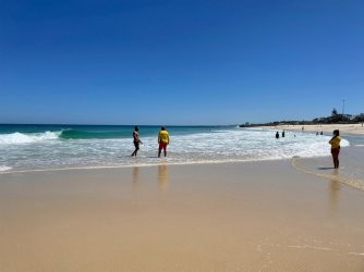 Sea hare3.jpg Sea hare3.jpg