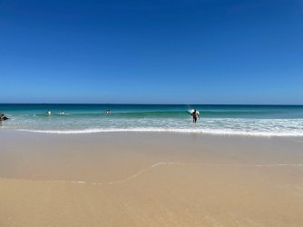 Sea hare2.jpg Sea hare2.jpg