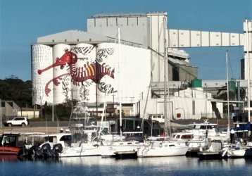 IMG20210215172754 (2).jpg IMG20210215172754 (2).jpg