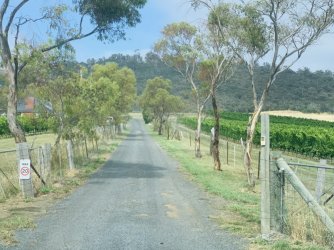 C23813DD-D604-4A2F-A2C7-0DCEB21BE432.jpeg C23813DD-D604-4A2F-A2C7-0DCEB21BE432.jpeg