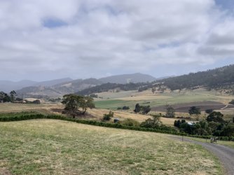 B263F737-DB47-4079-9D4B-E307DC863029.jpeg B263F737-DB47-4079-9D4B-E307DC863029.jpeg