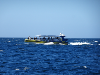 1613887911932.png 1613887911932.png