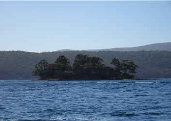 1613888055495.png 1613888055495.png