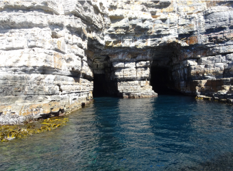 1613888127511.png 1613888127511.png