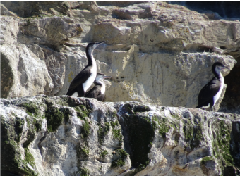 1613888195313.png 1613888195313.png