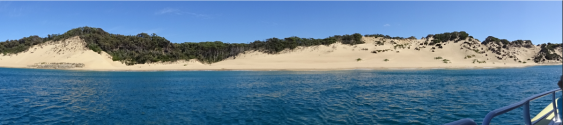 1613888635213.png 1613888635213.png