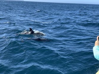 IMG_6140.JPG IMG_6140.JPG