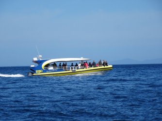 DSC06327.JPG DSC06327.JPG