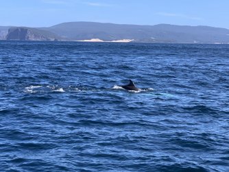 IMG_6183.JPG IMG_6183.JPG