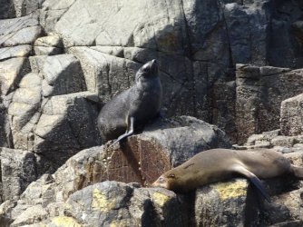 DSC06347.JPG DSC06347.JPG