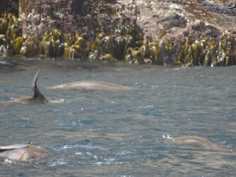 DSC06378.JPG DSC06378.JPG