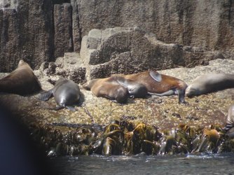 DSC06379.JPG DSC06379.JPG