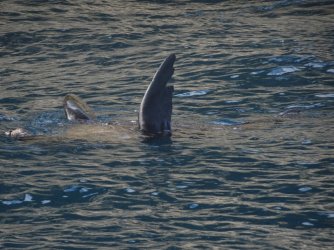 DSC06380.JPG DSC06380.JPG