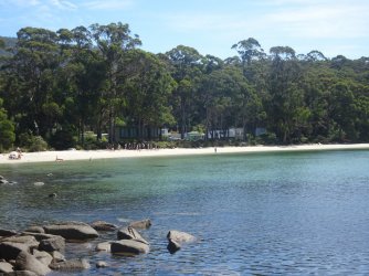 DSC06392.JPG DSC06392.JPG