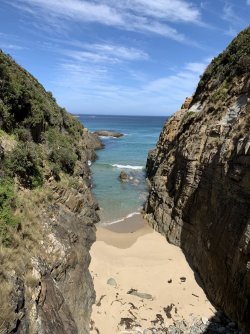 IMG_6270.JPG IMG_6270.JPG