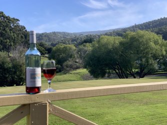 IMG_6301.JPG IMG_6301.JPG