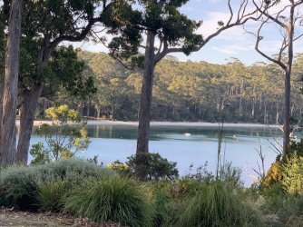 IMG_6308.JPG IMG_6308.JPG