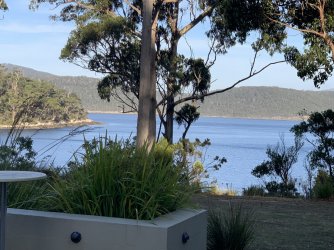 IMG_6309.JPG IMG_6309.JPG