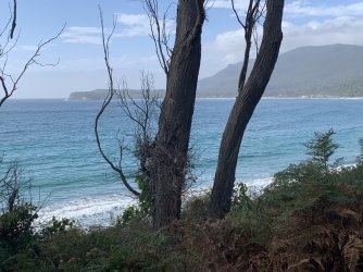 IMG_6359.JPG IMG_6359.JPG