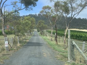 IMG_6361.JPG IMG_6361.JPG