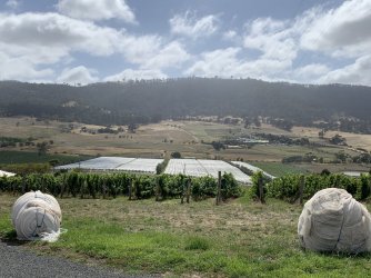 IMG_6365.JPG IMG_6365.JPG