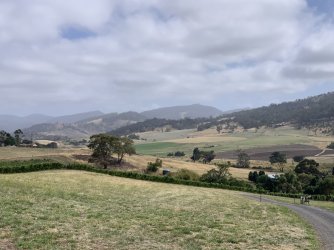 IMG_6366.JPG IMG_6366.JPG